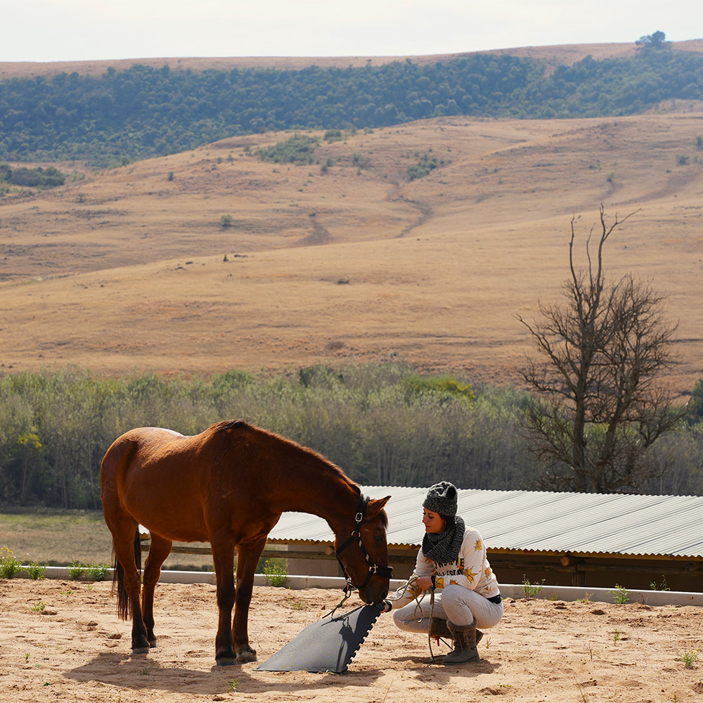 Card: sanctuary participant with horse