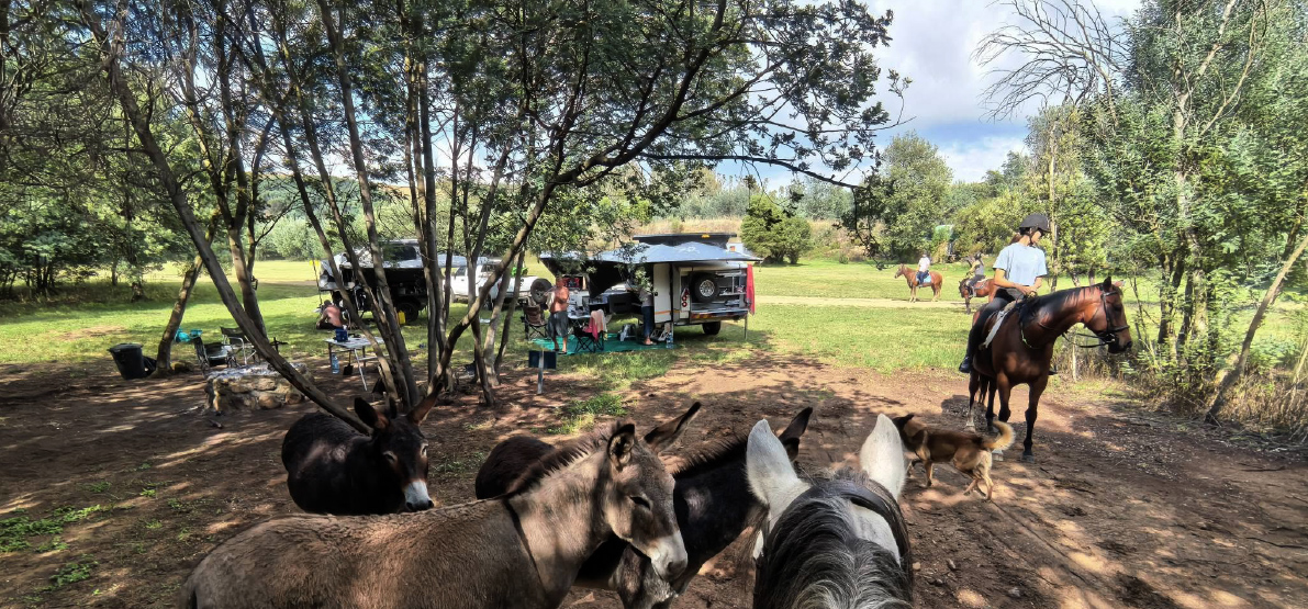Camp 3 • Dancing Wind - riverside camping