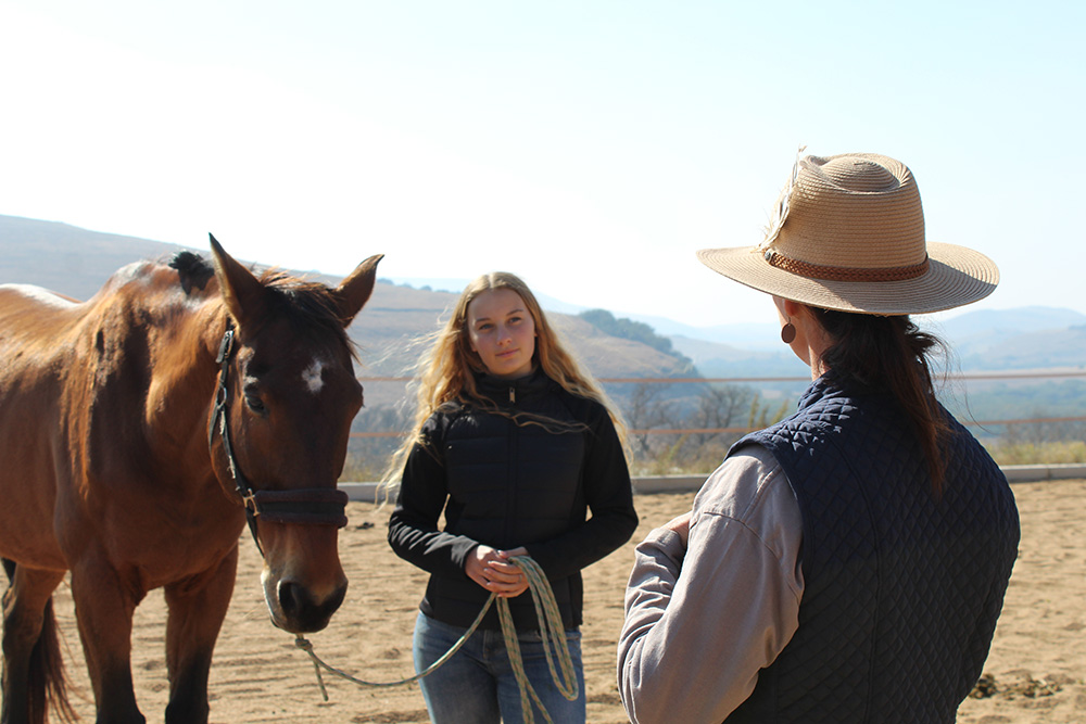 Mentor and student meeting a bay horse