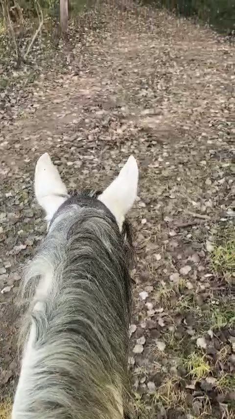 River / trails