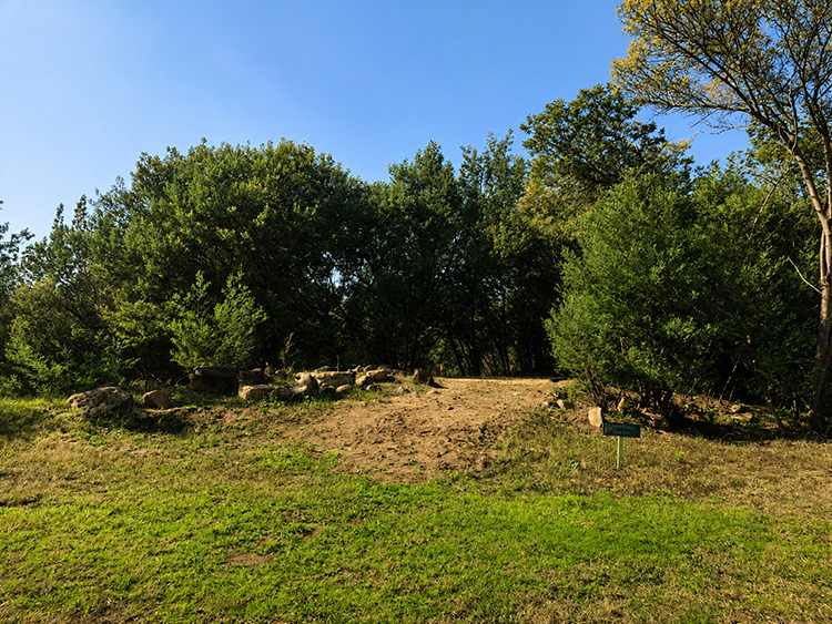 Camp 1 • Ember Circle - Cleared campsite in the trees