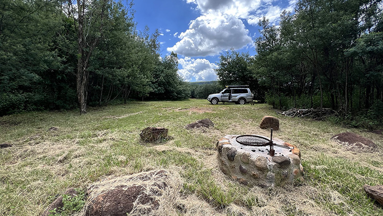 Camp 8 • Breath of Heaven - Grassy pitch with fire pit and treeline