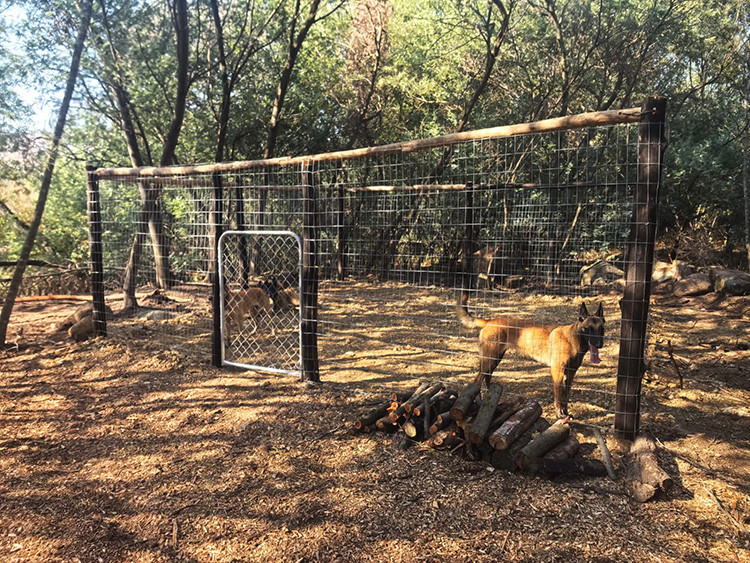 Camp 5 • Silent Forest - Fenced pet-friendly enclosure