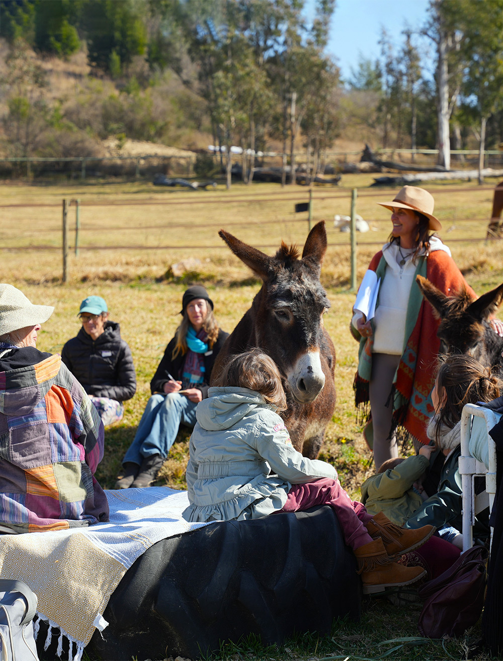 Image: families / guests at open day / braai or gathering space