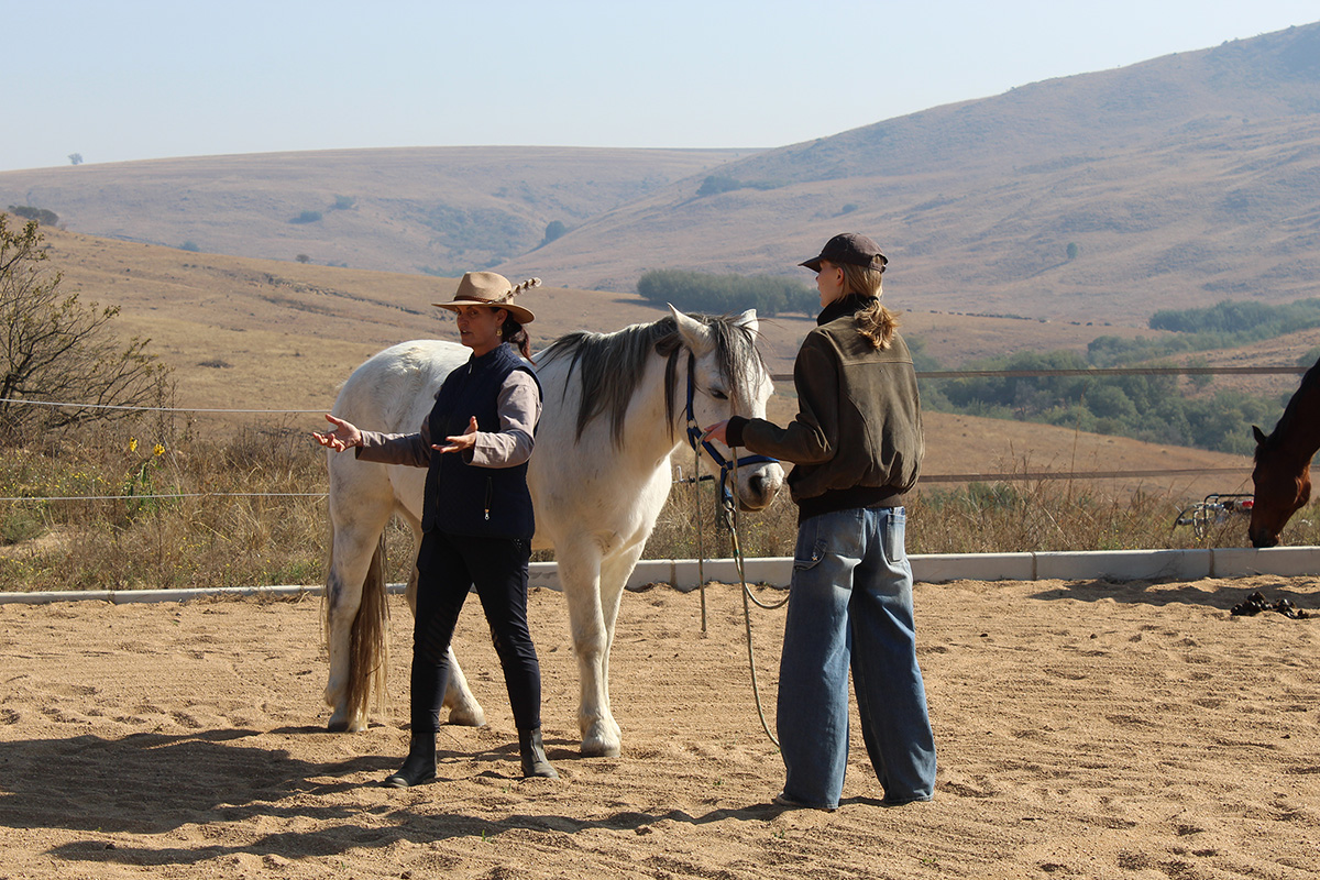 Mentor guiding a student with a white horse in the arena