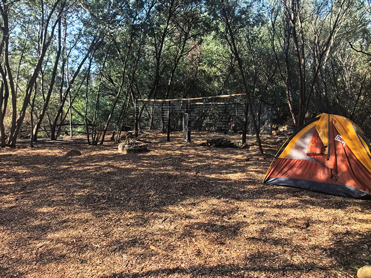 Camp 5 • Silent Forest - Tent beside the fenced enclosure