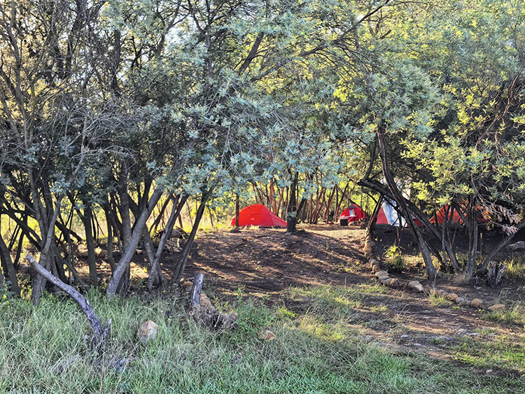 Camp 5 • Silent Forest - Tents pitched among the trees