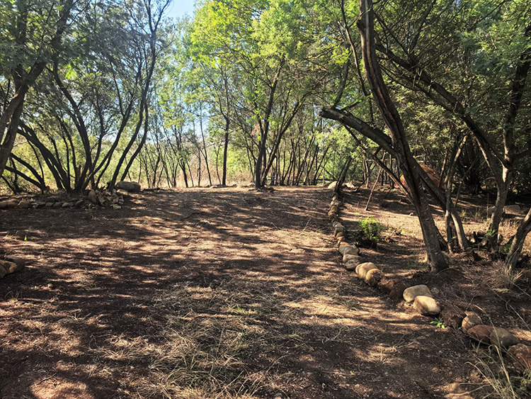 Camp 5 • Silent Forest - Stone-edged clearing in the forest