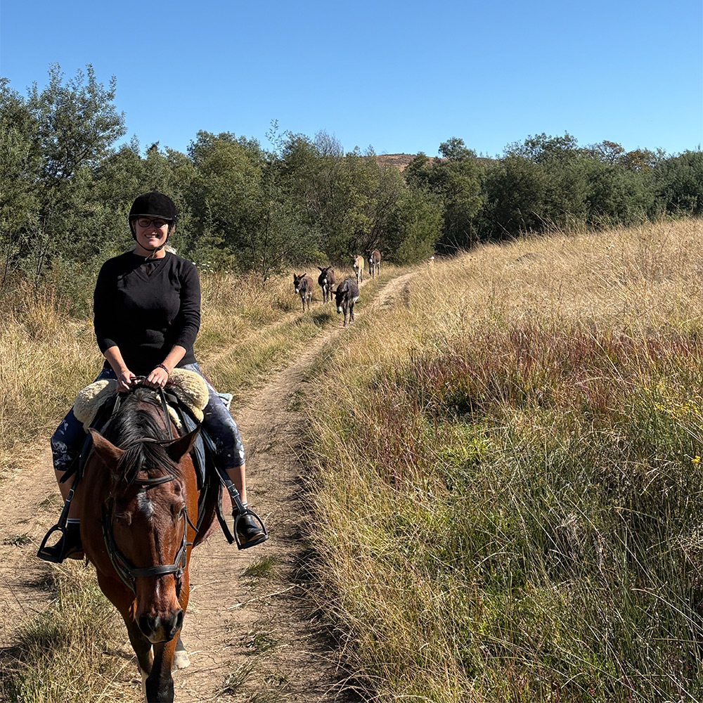 Gentle walk on horseback