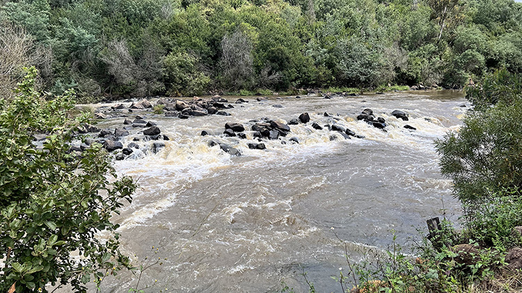 Camp 8 • Breath of Heaven - River running full past the camp