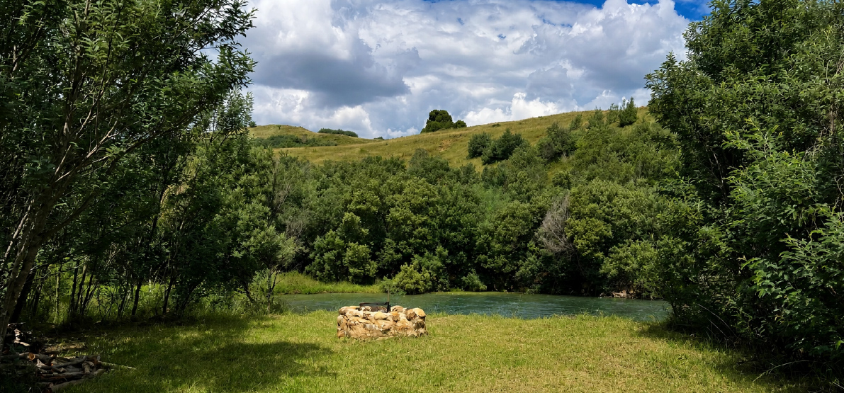 Camp 7 • Wattle Grove - riverside camping