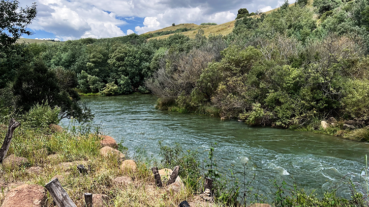 Camp 7 • Wattle Grove - River running past the campsite