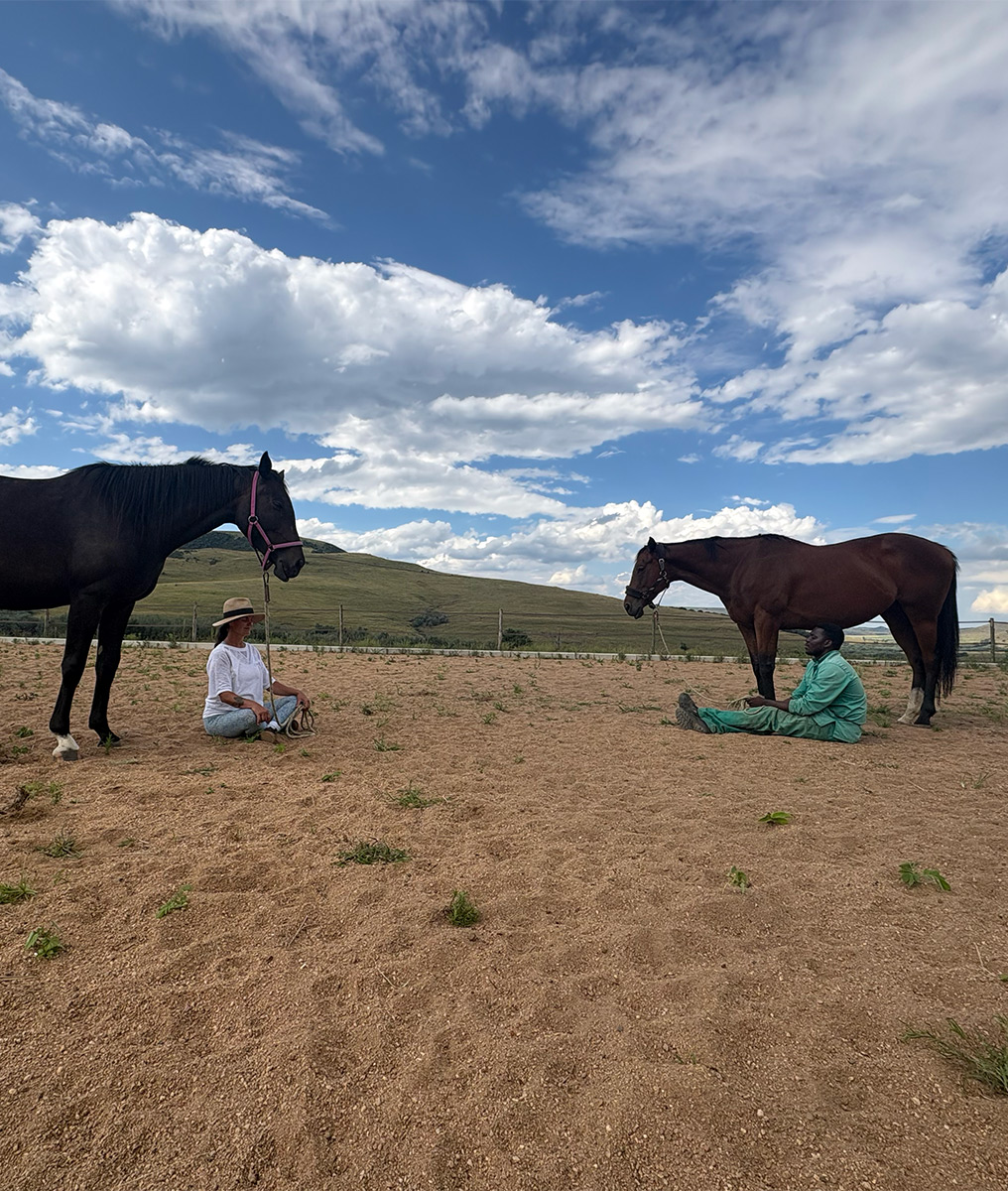 Image: student doing groundwork / Donna teaching horse connection