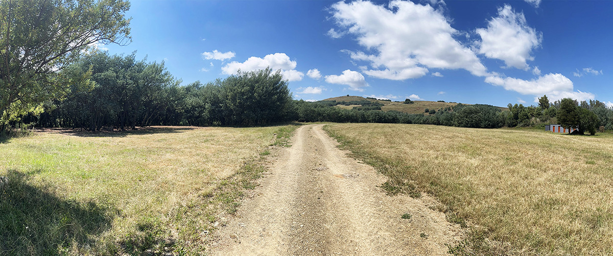 Camp 4 • Open Sky - Farm track and open grassland