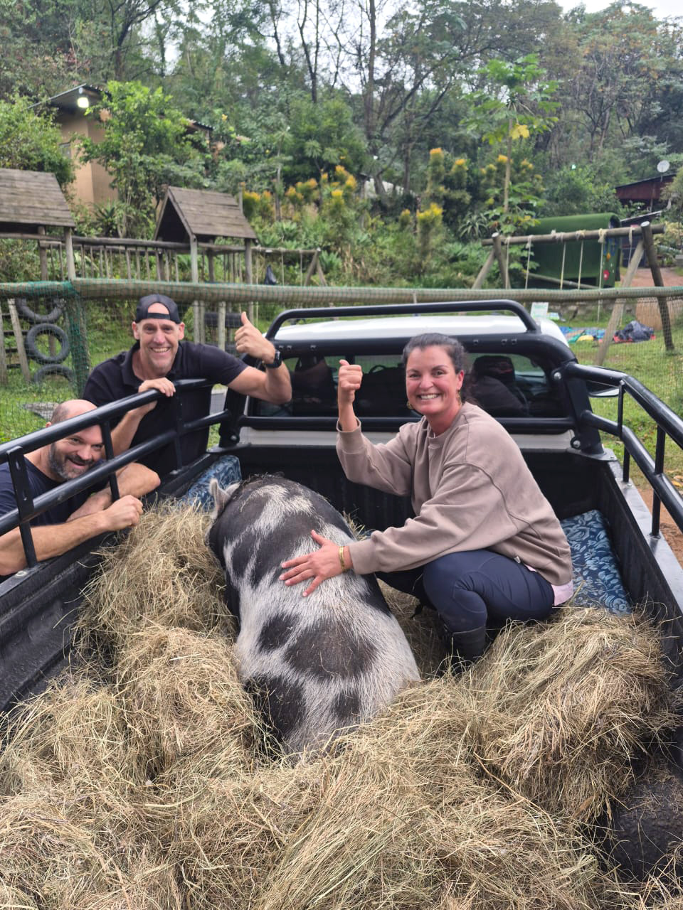 Image: young adult helping on farm / feeding animals / collecting eggs