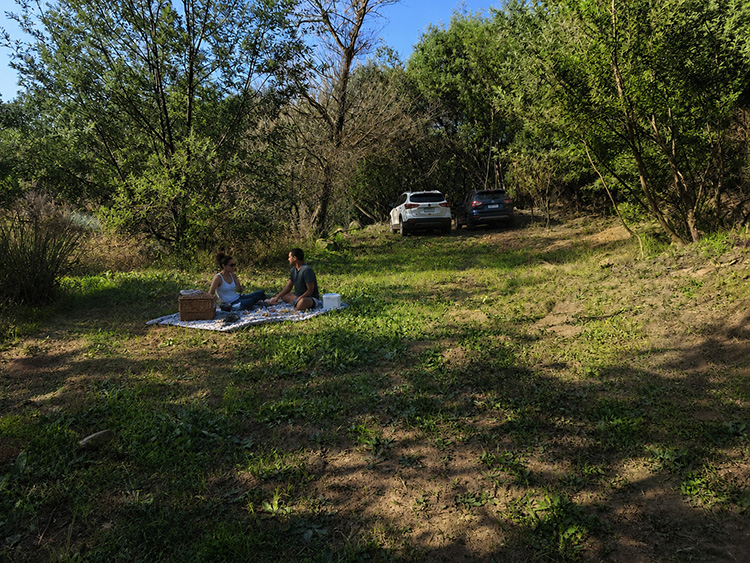 Camp 2 • Whispering Spirit - Picnic under the trees