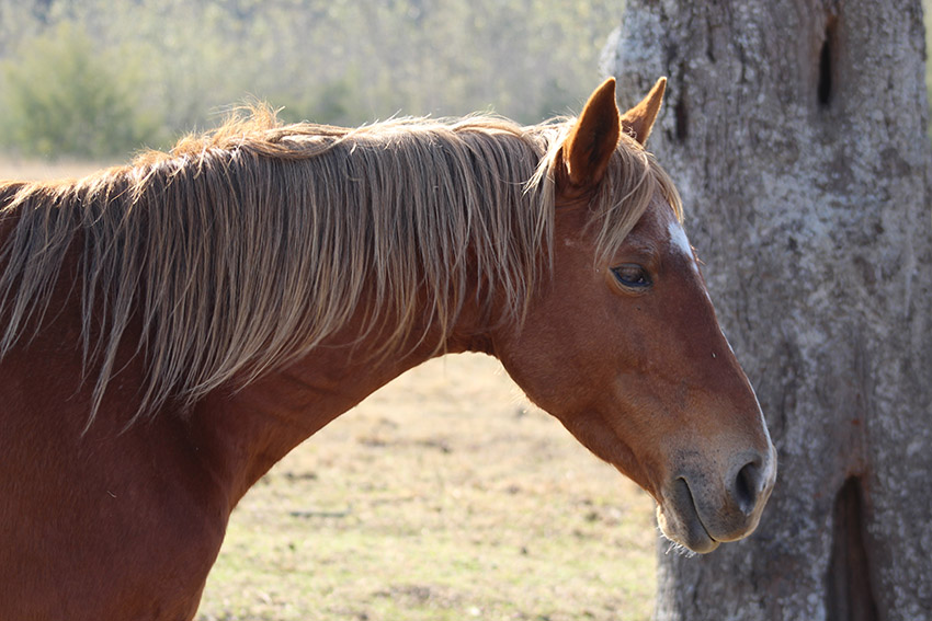 Image: Destiny