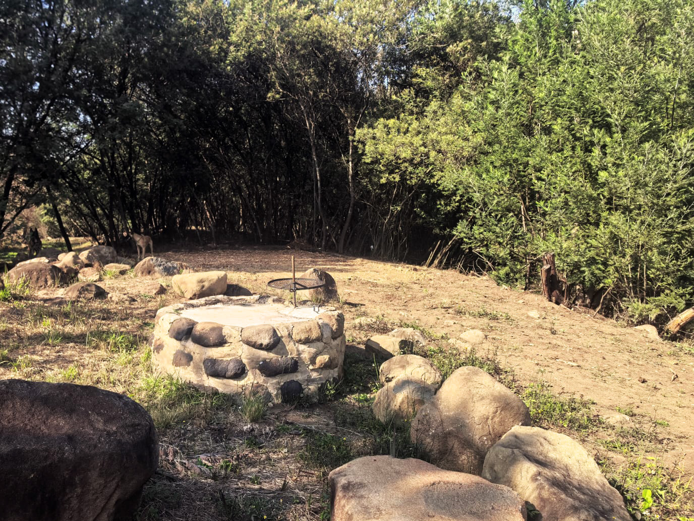 Camp 1 • Ember Circle - Stone fire pit