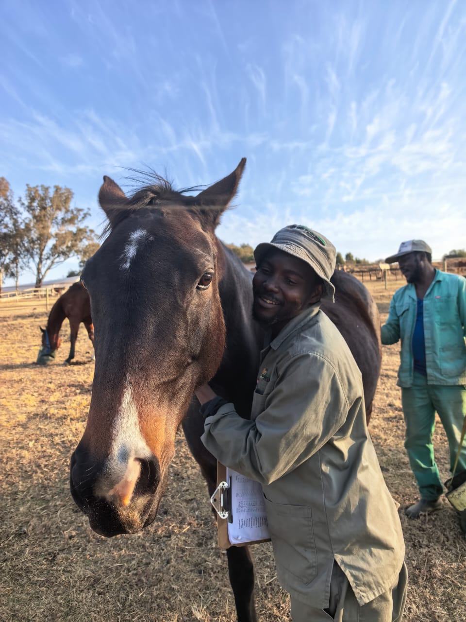 A quiet moment with a horse at Amana