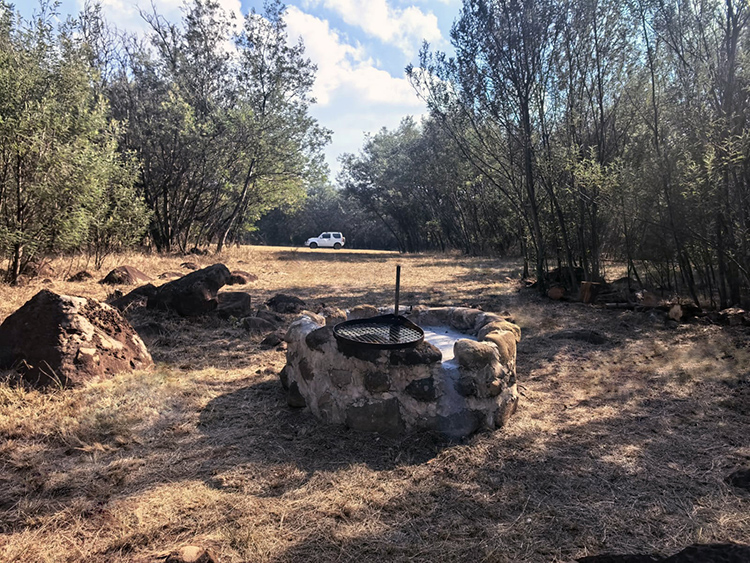 Camp 7 • Wattle Grove - Stone fire pit in the wattle grove