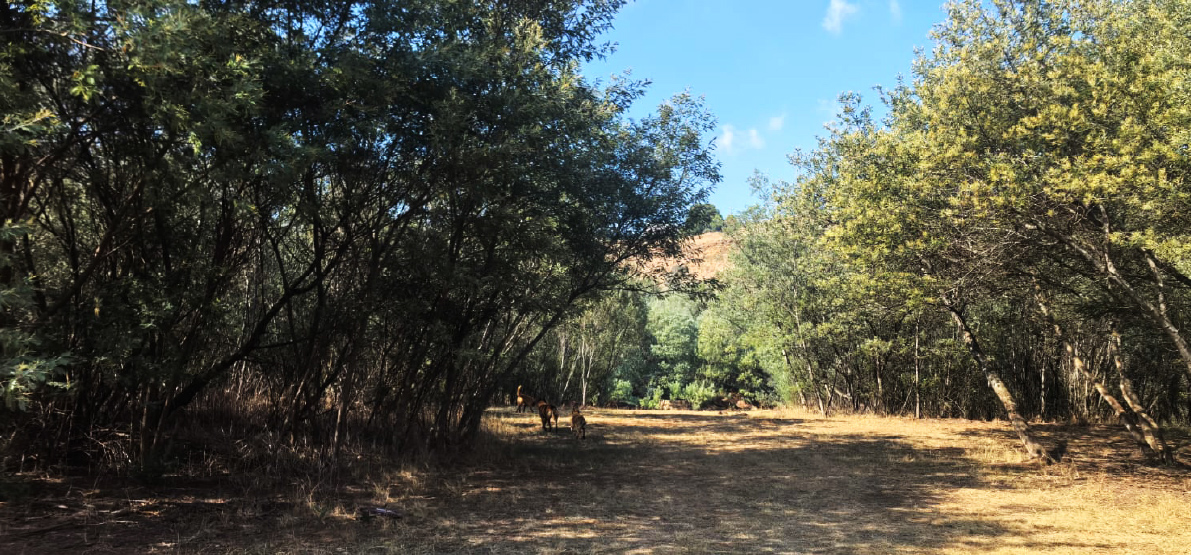 Camp 8 • Breath of Heaven - riverside camping