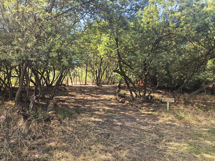 Camp 5 • Silent Forest - Shaded clearing with campsite sign