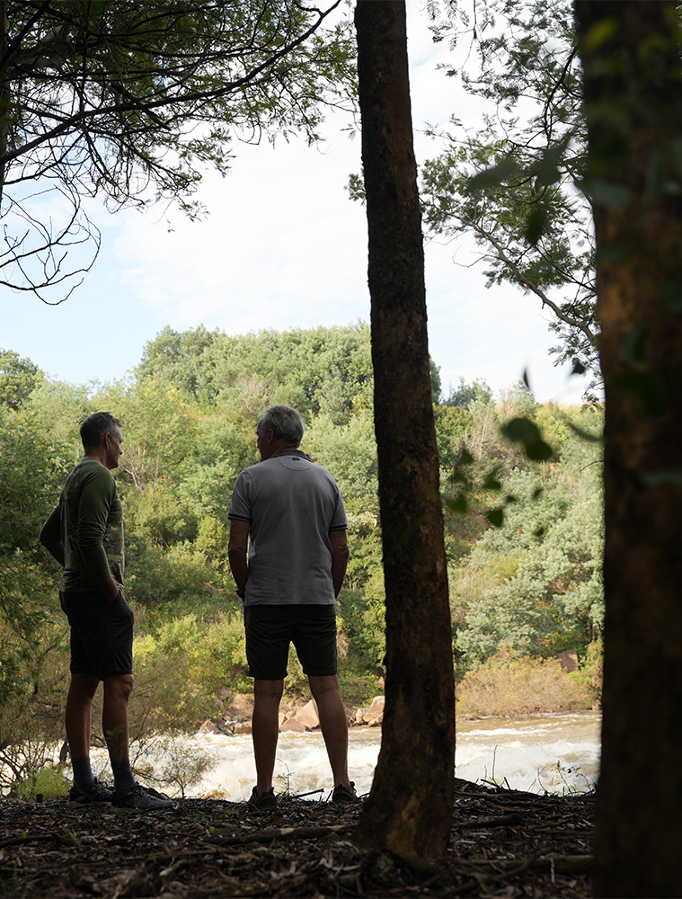Image: walking trail / river trail / dam trail / forest
