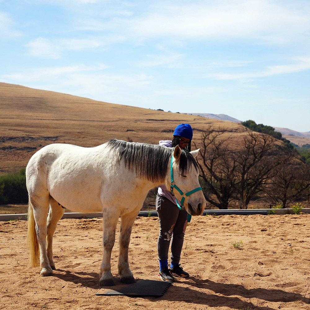 Horse close-up / calm moment