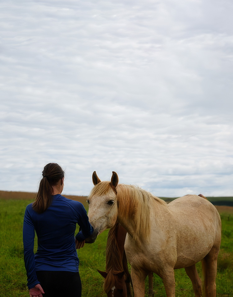 Person standing quietly with horse, horse softening near human