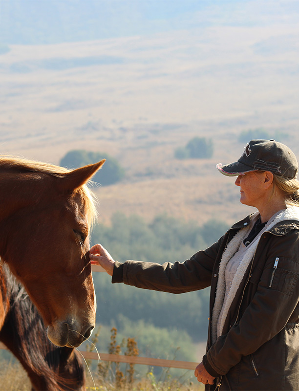 Card: gentle horse connection