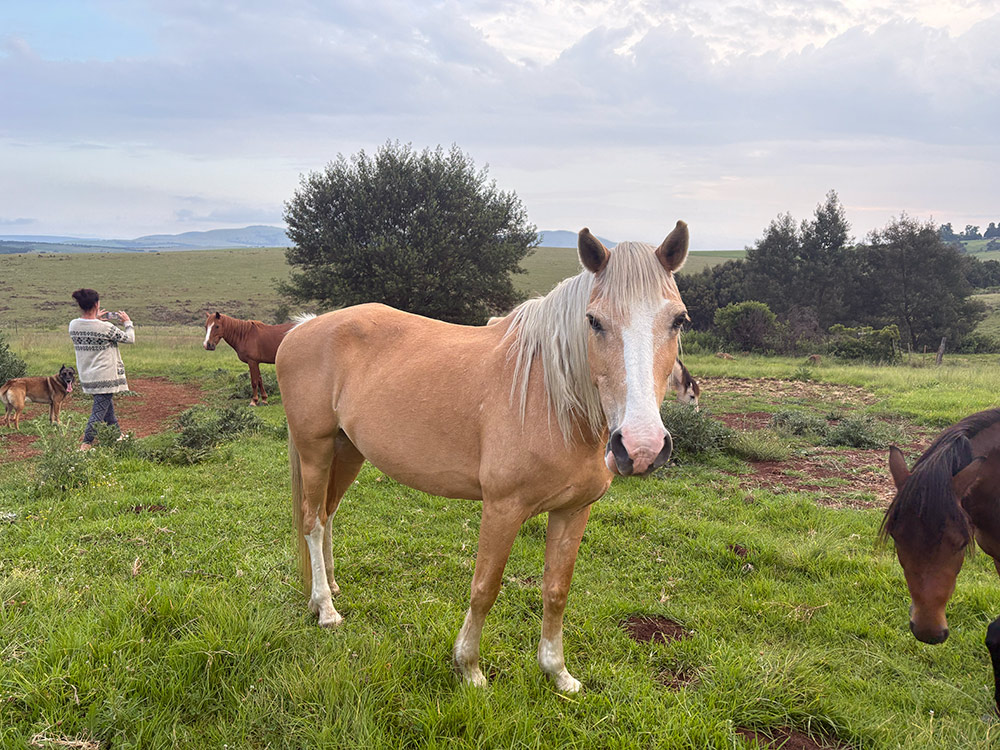 Clarabella – A Second Chance at Life — photo 2