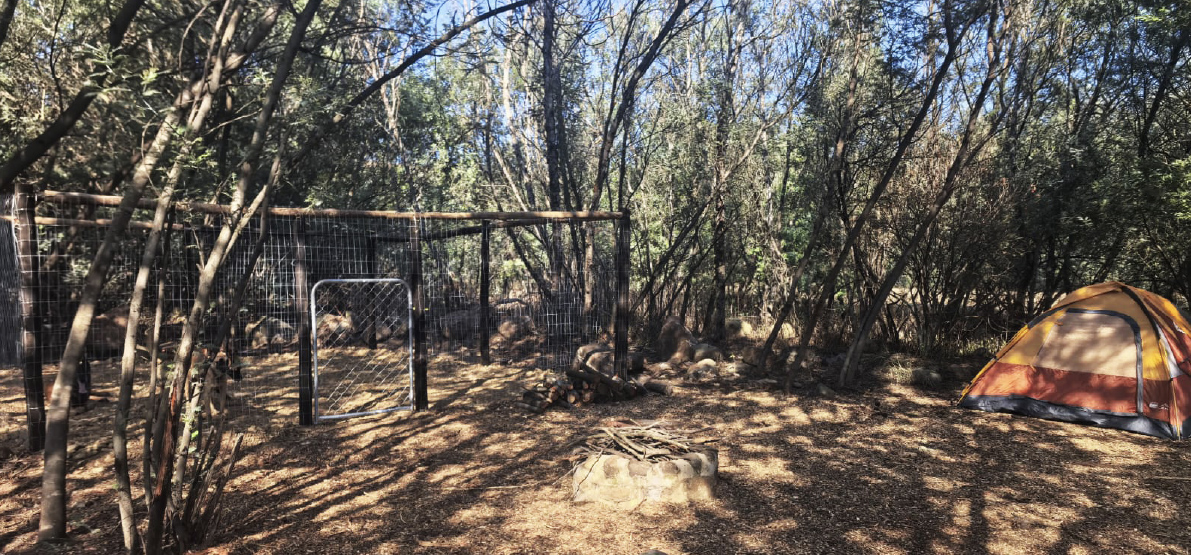 Camp 5 • Silent Forest - riverside camping
