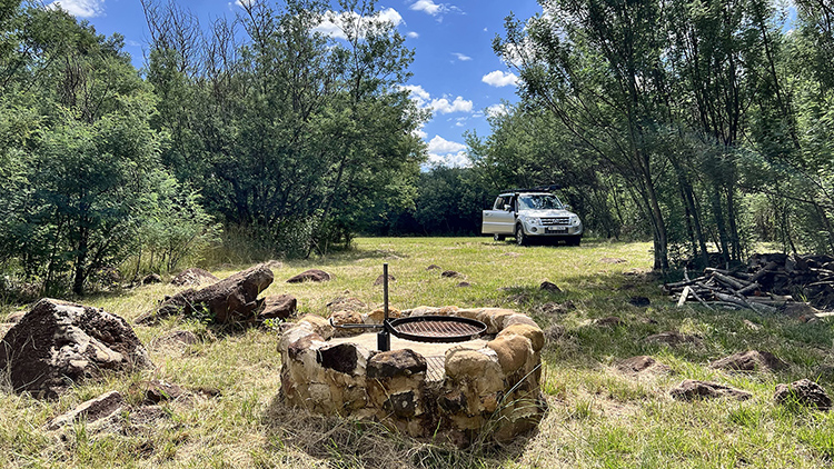 Camp 7 • Wattle Grove - Fire pit and open pitch under the trees