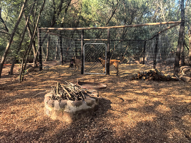 Camp 5 • Silent Forest - Fire pit beside the enclosure