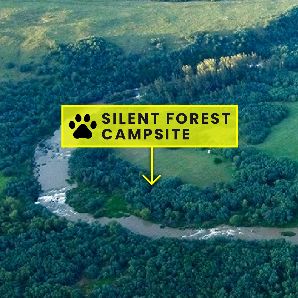 Camp 5 • Silent Forest - Location on farm map
