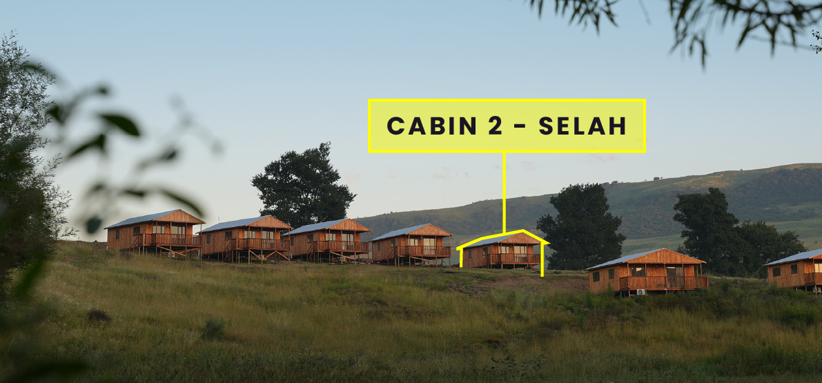 1-Bedroom Pet-Friendly Riverside Cabin 2: Selah - cabin exterior