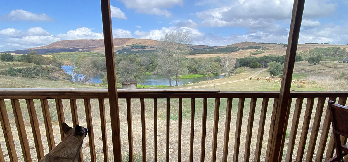 2-Bedroom Pet-Friendly Riverside Cabin 8: Yadah - cabin exterior