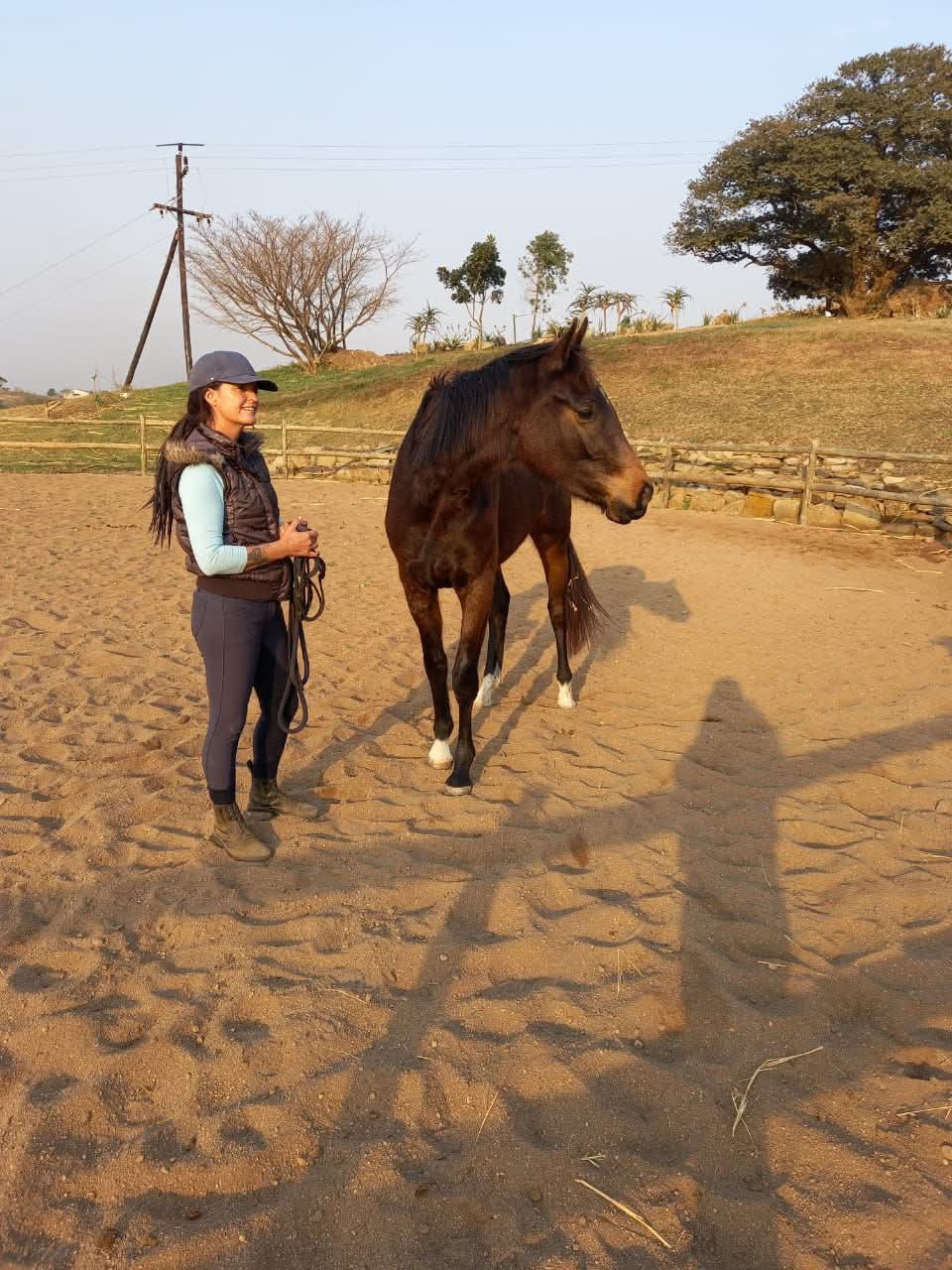Donna working with a horse in the arena