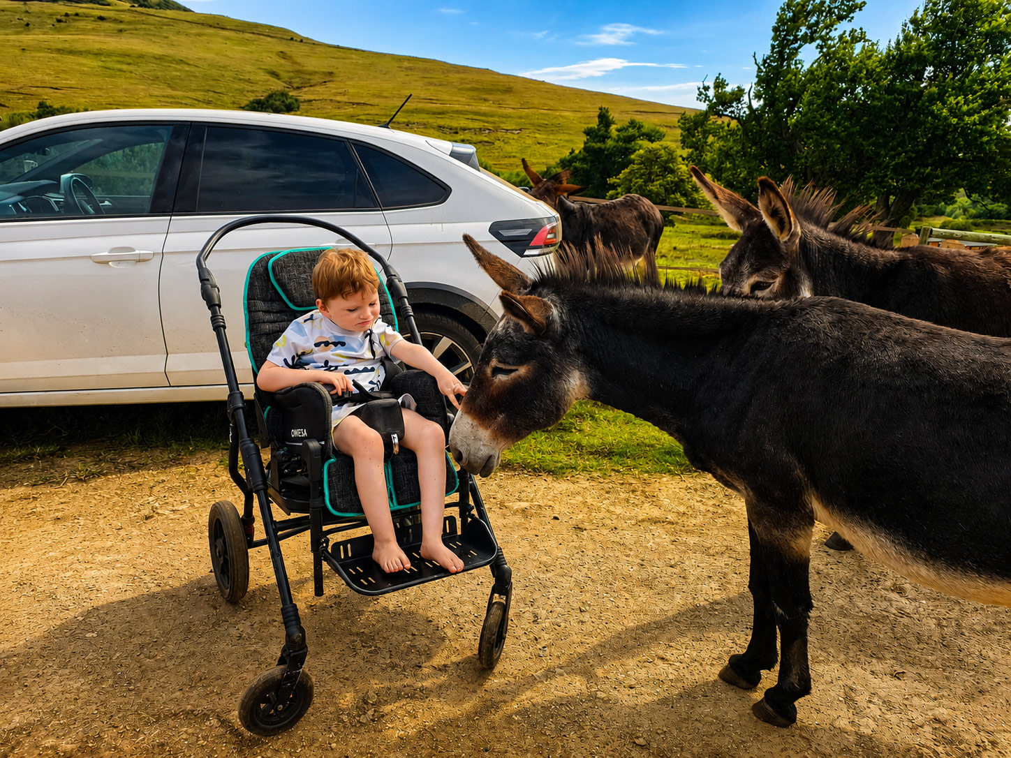 Young child meeting donkeys up close at Waterhoek