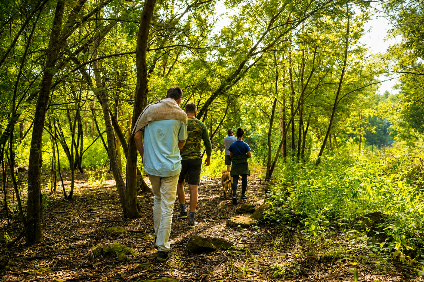 Small group walking a wooded trail at Waterhoek