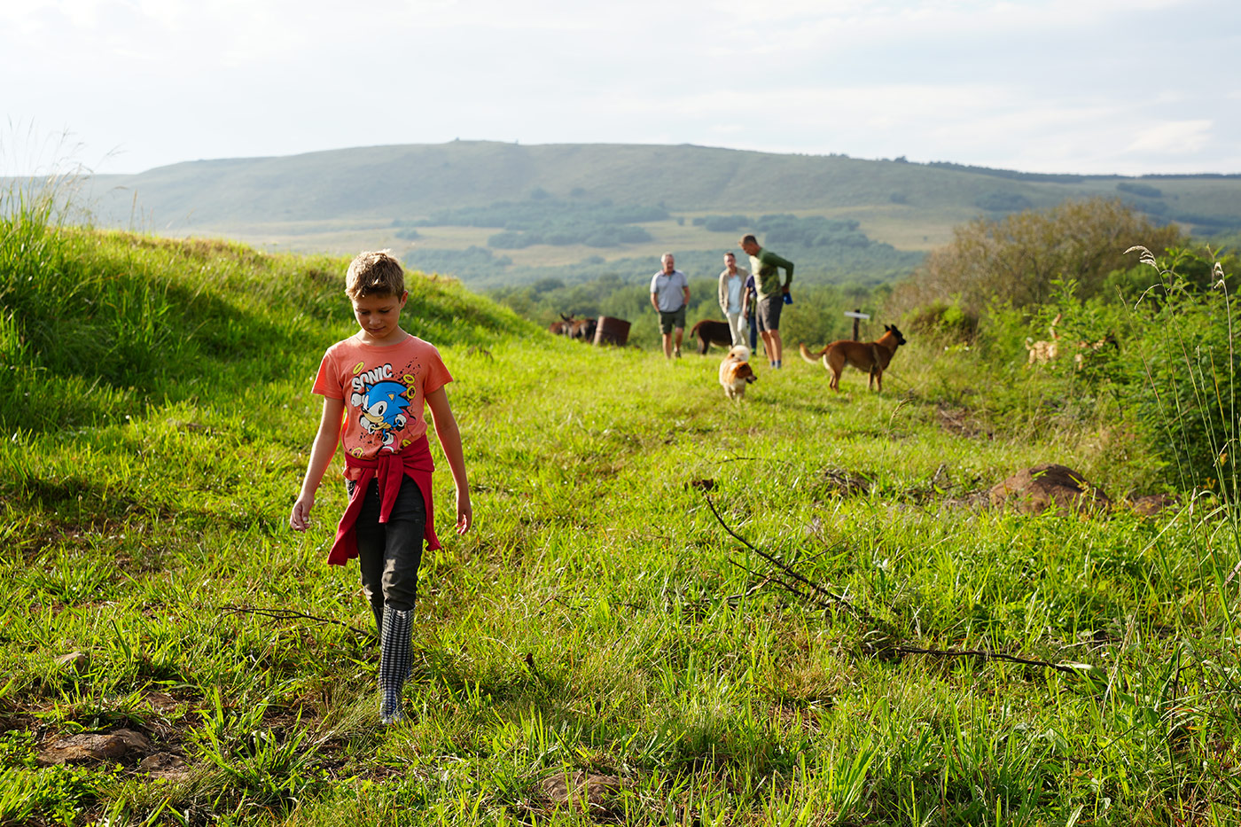 Child walking through the grasslands at a Waterhoek open day